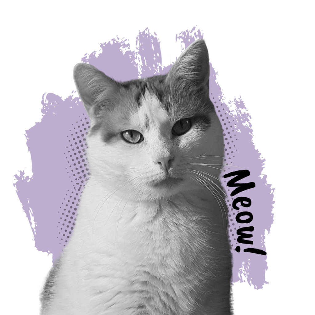 Ein Bild von meiner Katze